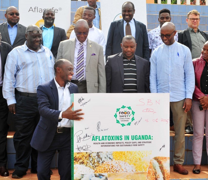 Aflatoxins Report Group