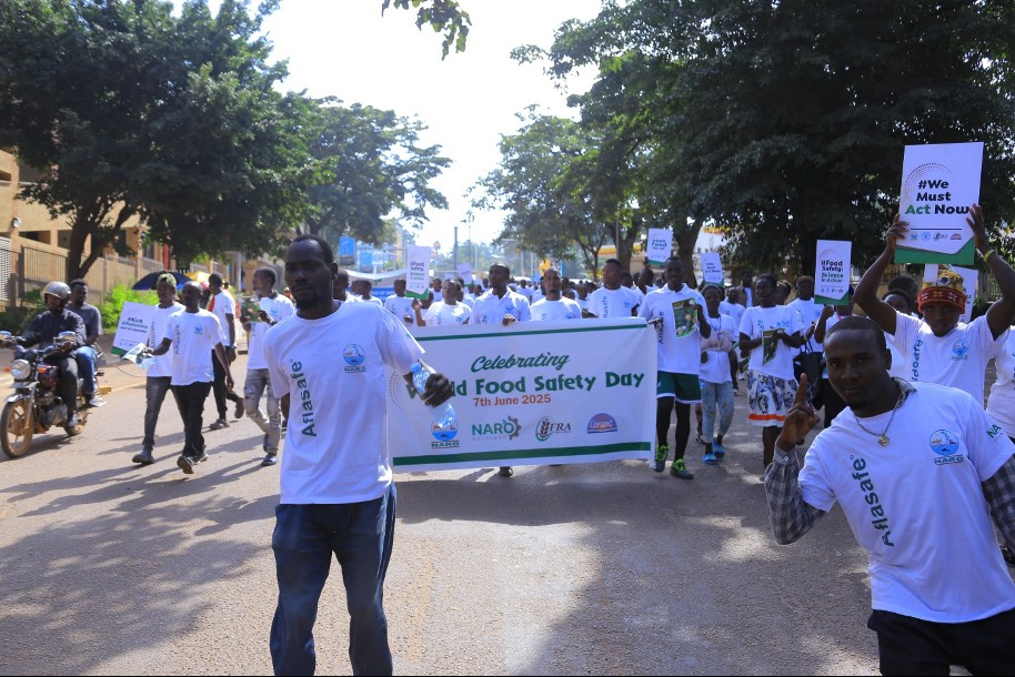 WFSD Walk