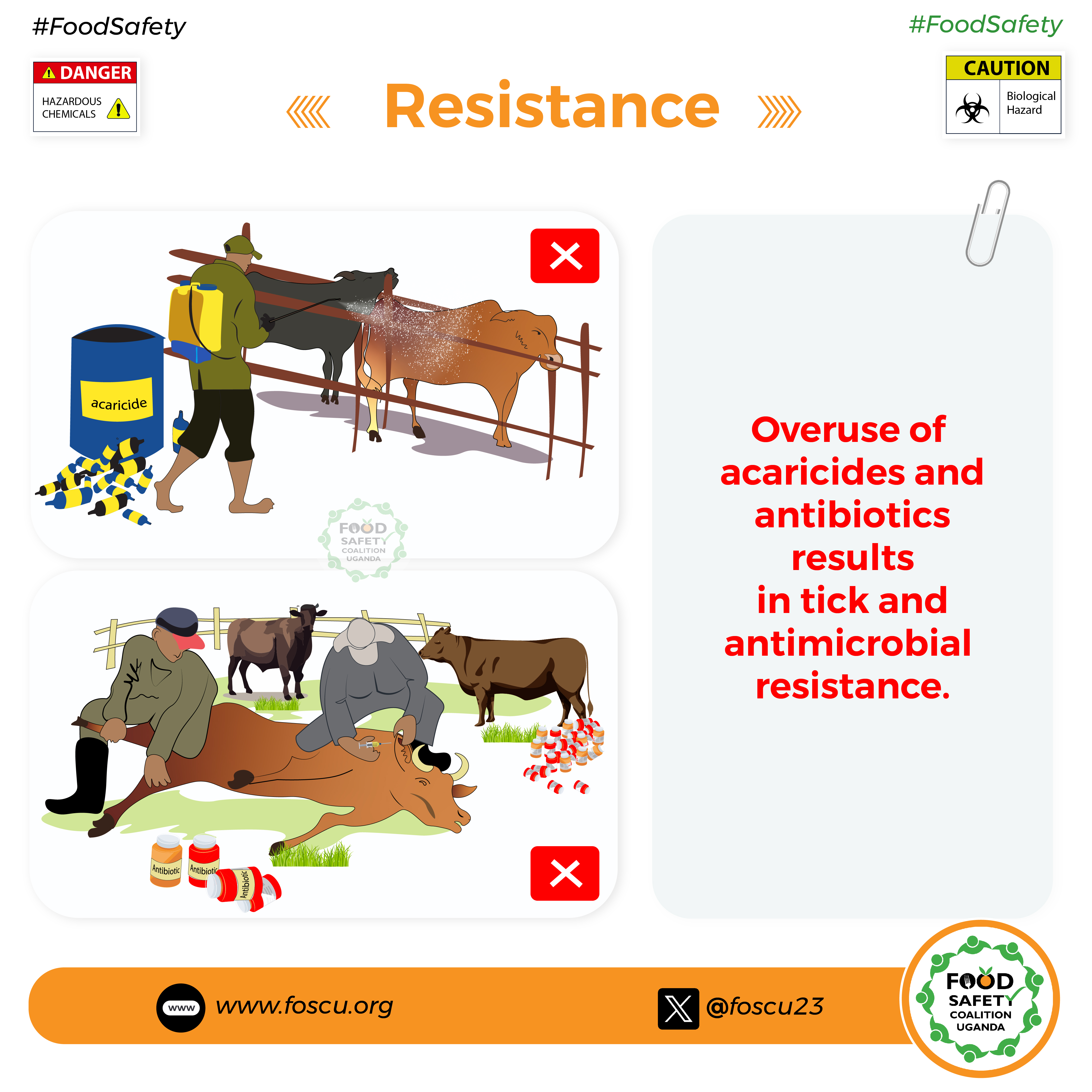 Food Safety Poster 7